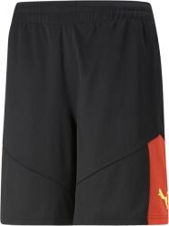 PUMA Teamfinal Training Shorts (65804248)