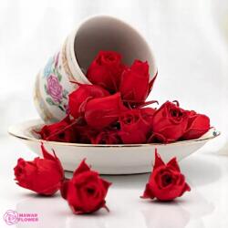 Earth Matters Mini tartósított rózsa - Vörös