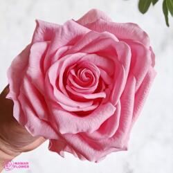 Verdissimo Tartósított Rózsa Fej Prémium Pink, Verdissimo, XXL