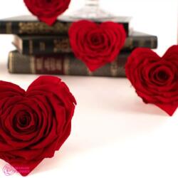 RoseAmor Stabilizált Örökrózsa szív - Vörös
