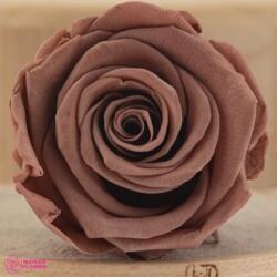 Verdissimo Tartósított Rózsa Fej Mocha Cocoa, Verdissimo, L