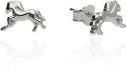 Fine Silver AG123777 - Ezüst beszúrós fülbevaló stekker zárral (AG123777)