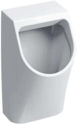 Geberit Smyle - Pisoar, admisie din spate, alb 500.254. 01.1 (500.254.01.1)