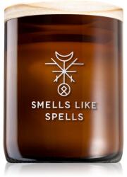 Smells Like Spells Norse Magic Eir illatgyertya fa kanóccal (healing/health) 200 g