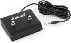 Marshall PEDL-91003 - kytary