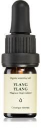 Smells Like Spells Essential Oil Ylang Ylang esszenciális olaj 5 ml