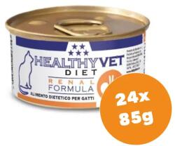 Healthy Vet Diet Cat Renal - vese támogatására felnőtt macskáknak 24x85g