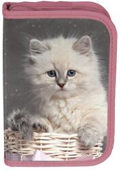 PASO Cicás felszerelt kihajtható tolltartó - You are awsome (PP24AW-P001) (paPP24AW-P001)