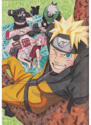 Naruto Poszter Picnic , 61x90cm, Többszínű (poster10-7777777777777785269)