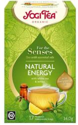 YOGI TEA Bio tea az érzékeknek - Természetes energia - Yogi Tea