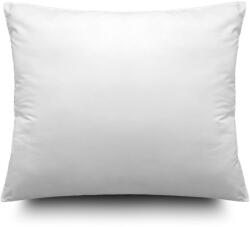 John Cotton The First 70 × 90 cm