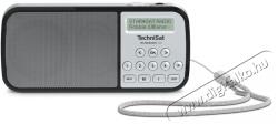 TechniSat TECHNIRADIO RDR ezüst