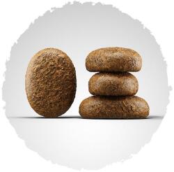 Josera Optiness Adult 2 x 12, 5 kg