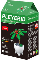 Sluban Flowers - Piros szobapáfrány "E" építőjáték készlet (M38-B1075E)