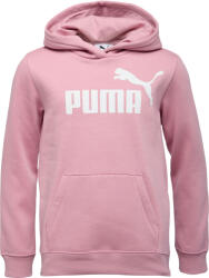 PUMA Essentials No. 1 Logo Hoodie Fl G (68489665)