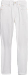 GAP Skinny (570471-00)