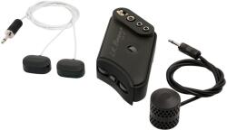 L. R. Baggs HiFi Duet