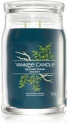 Yankee Candle Bayside Cedar ароматна свещ Signature 567 гр