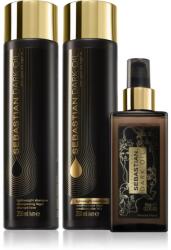 Sebastian Professional Dark Oil Set takarékos kiszerelés a hidratálásért és a fényért