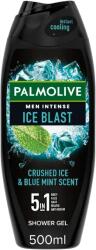Palmolive Tusfürdő Férfi 500ml Ice Blast