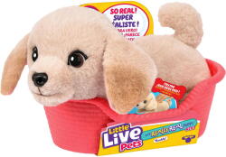 Moose Toys Ltd Moose Toys Little Live Pets My Really Real S2 Puppy Mini - Buddy, cuddly toy (26650) - vexio
