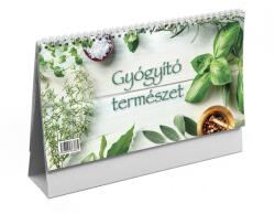 KALENDART 2026 T058 Gyógyító természet álló asztali naptár 26T587P-00P (26T587P-00P)