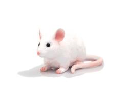 Mojo Mouse-ul meu (DDMJ387235) Figurina