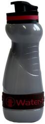 Water-to-Go Sticlă cu filtru Water-to-Go Sugarcane 550 ml - Henna Red