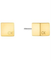 Calvin Klein Cercei Calvin Klein Woman’s Collection stud 35000246