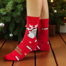 Aura Via Mikulásos-Karácsonyi FÉRFI zokni 39-42 102579