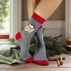 Aura Via Mikulásos-Karácsonyi FÉRFI zokni 43-46 102526