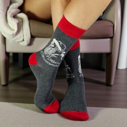 Aura Via Mikulásos-Karácsonyi FÉRFI zokni 39-42 102544