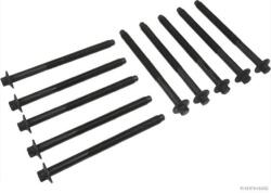 Herth+buss Jakoparts Sada skrutiek hlavy valcov HERTH+BUSS JAKOPARTS J1283001 (J1283001)