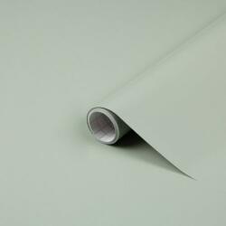 d-c-fix Autocolant Verde masliniu RAL 6021 mat