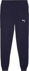 PUMA Teamgoal 23 Casuals Pants (65859806)