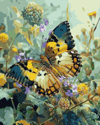 Figured Art Set pictura pe numere, cu sasiu, Fluture Janetta Forester, 40x50 cm (FA10419-Y)