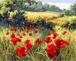 Figured Art Set pictura pe numere, cu sasiu, Camp de maci, 40x50 cm (PN2985-Y)