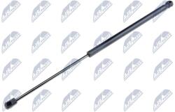 NTY Amortizor portbagaj NTY AE-FR-002 (AE-FR-002)