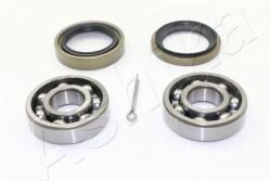 ASHIKA Set rulment roata ASHIKA 44-16004 (44-16004) - automobilus