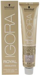 Schwarzkopf IGORA Royal Absolutes culoare par culoare 6-60 Dark Blonde Chocolate Natural 60 ml