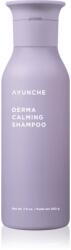 AYUNCHE Derma Calming Shampoo șampon calmant pentru păr uscat și scalp sensibil 200 ml