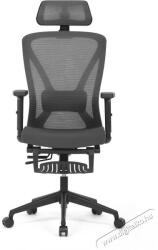  HOMEPRO Penang, szürke