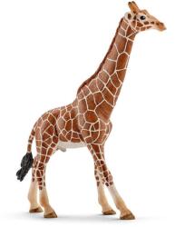 Schleich Schleich, Wild Life, Girafa mascul, figurina, 14749 Figurina