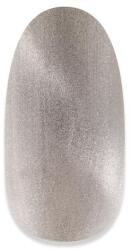 NiiZA Gel Polish 4ml - 254 Cat Eye - gellakk