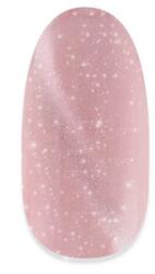 NiiZA Gel Polish 4ml - 496 reflective cat eye