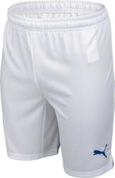 PUMA Universitatea Craiova Shorts (77154002)
