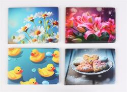  Diák- és igazolványtartó, fekvő, 6 betét lappal, mintás PVC, Többlapos, lány