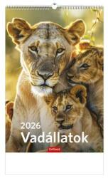 TopTimer Naptár, fali, TOPTIMER Vadállatok