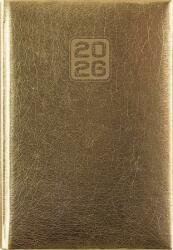 Dayliner Naptár, tervező, A5, napi, DAYLINER, Mirror, arany