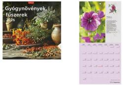 TopTimer Naptár, fali, TOPTIMER, Gyógynövények, fűszerek